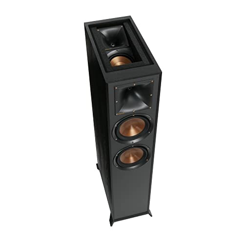 Top view of a black tower speaker with dual copper woofers.