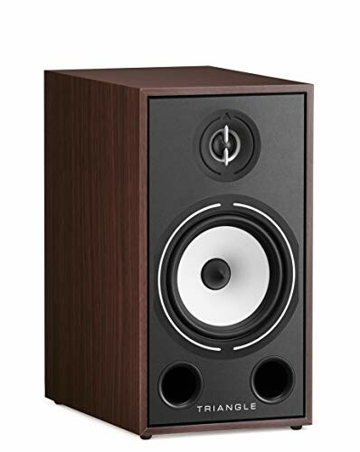 Triangle wooden speaker with black front panel and circular drivers.