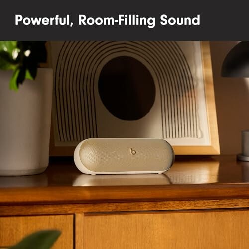 Wireless speaker on a wooden shelf with decorative artwork.